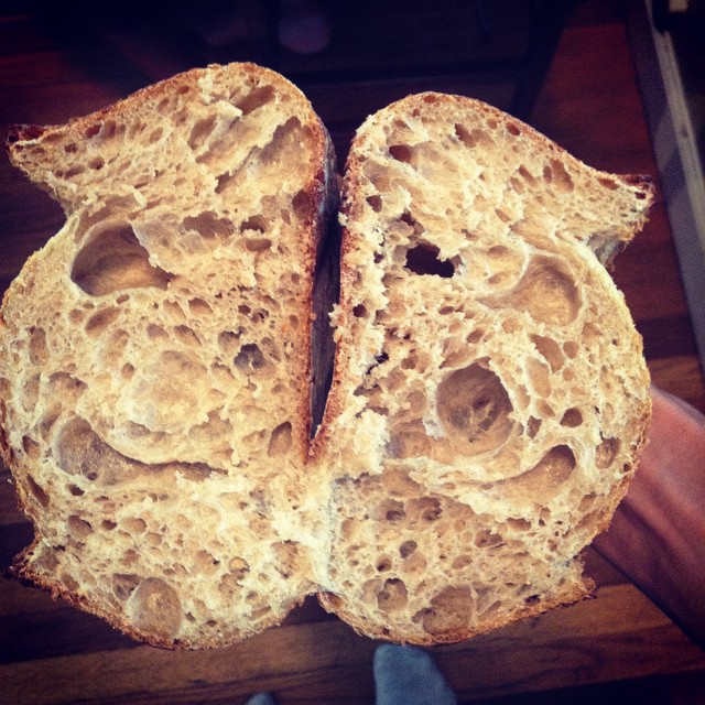 another-great-levain-bake-the-fresh-loaf